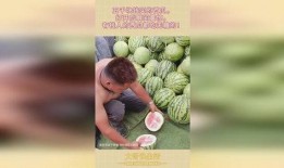 没钱买瓜吃,没钱也能享受的夏日时光