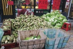 聚众吃瓜视频,揭秘聚众吃瓜视频背后的现象与影响