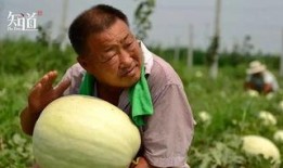 怎么拍摄吃瓜群众,如何巧妙拍摄“吃瓜群众”瞬间