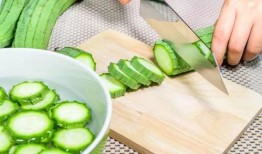 春吃芽夏吃瓜图解,四季饮食养生之道