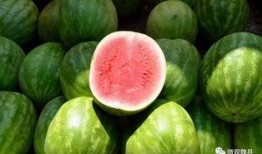 魏县诊所吃瓜,一场引发热议的乡村医疗风波