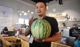 鉴定师吃瓜,揭秘娱乐圈幕后真相