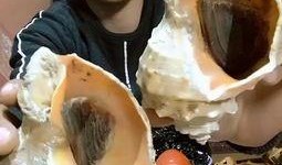 大贝视频吃瓜,揭秘娱乐圈吃瓜背后的真相