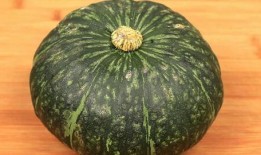 长江新视窗吃瓜