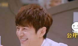 在综艺吃瓜小说,揭秘明星背后的真实故事