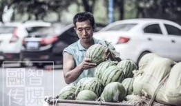 吃瓜王师傅,揭秘娱乐圈那些不为人知的幕后故事