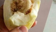 吃瓜论谈,揭秘娱乐圈背后的故事与真相