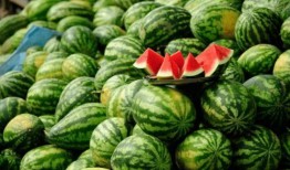 网红吃瓜现场,揭秘娱乐圈幕后真相