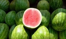 吃汉寿的瓜不,品味传统美食的魅力