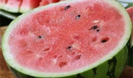 现在麒麟瓜可以吃吗,放心品尝美味佳果