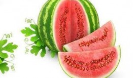 赵辰宇吃瓜,揭秘娱乐圈幕后故事