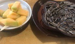 吃瓜评论区瓜子,吃瓜评论区瓜子的趣味解读