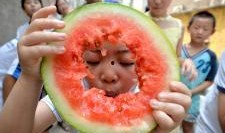 邯郸吃瓜曝光,揭秘背后真相与网络舆论风暴