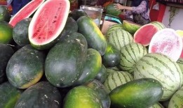 中馨苑吃瓜,揭秘吃瓜群众的狂欢盛宴