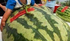 小王吃瓜不卖瓜的故事,瓜田里的智慧传奇