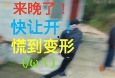 吃瓜日常,揭秘娱乐圈幕后故事