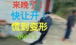 吃瓜日常,揭秘娱乐圈幕后故事