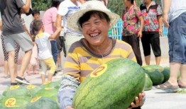 沙河 吃瓜,揭秘吃瓜群众的狂欢盛宴