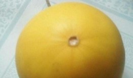 瓜癫怎么吃,解锁夏日清凉新吃法