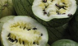吃籽瓜种植,丰收秘诀与栽培技巧解析