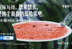 抓鱼吃瓜文案,夏日狂欢盛宴