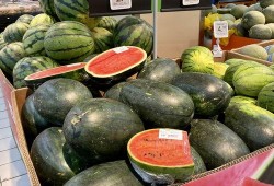 海口市吃瓜论坛,热议本地新鲜事，一网打尽街头巷尾趣闻