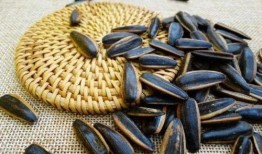 吃瓜子吃瓜图片,品味生活——吃瓜子吃瓜图片赏析