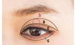 整形吃瓜科室,揭秘医美行业背后的故事与真相