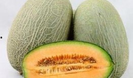 健身期吃哈密瓜,哈密瓜助力营养均衡的甜蜜选择