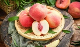 小暑吃哈密瓜,夏日消暑佳品探寻记