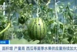 木姐吃瓜群众,揭秘娱乐圈幕后故事