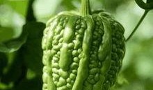 吃半颗瓜,揭秘瓜果中的营养与美味