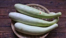 花少5互相吃瓜,明星互撕瓜，揭秘娱乐圈背后的秘密