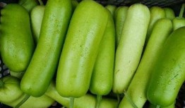 梦到摘瓠子瓜吃,揭秘摘瓠子瓜吃的神秘寓意