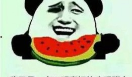 外网吃瓜群众名字