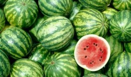 啥是吃瓜网,网络舆论场中的“瓜田”探秘