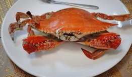 螃蟹能跟土瓜一起吃吗,能否同食揭秘