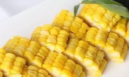 苞米公主吃瓜记,苞米公主的甜蜜瓜界冒险记