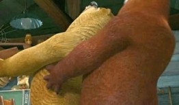 nga老哥吃瓜视频,揭秘网络热点背后的故事