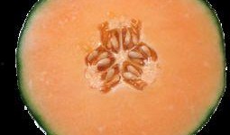 来月经吃哈密瓜,经期女性食用哈密瓜的益处与注意事项