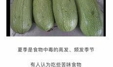 吃瓜进嘴,揭秘瓜类美食的魅力与诱惑