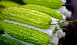 孕妇可以吃黄藤瓜吗