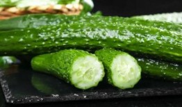 小姜忙着吃瓜,忙碌吃瓜不停歇