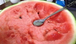 人流可以吃瓜么,跟随人流共享美味时光