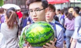 文工团吃瓜,揭秘娱乐圈背后的故事