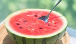 药吃瓜了,揭秘“根据药吃瓜了”的养生智慧