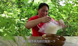 胖妹吃瓜影视,揭秘娱乐圈幕后故事