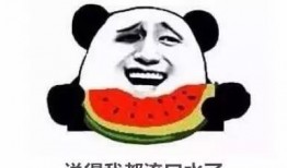 朋友圈 吃瓜,那些隐藏在瓜皮下的真相