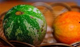 吃大瓜子的瓜,揭秘大瓜子的魅力与传承