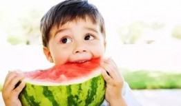 布鲁图吃瓜,揭秘娱乐圈幕后风云